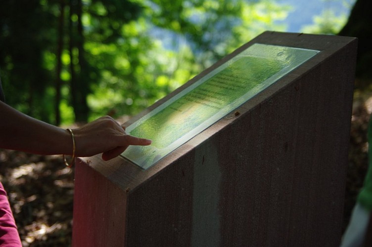 Themed trail : The poetry path