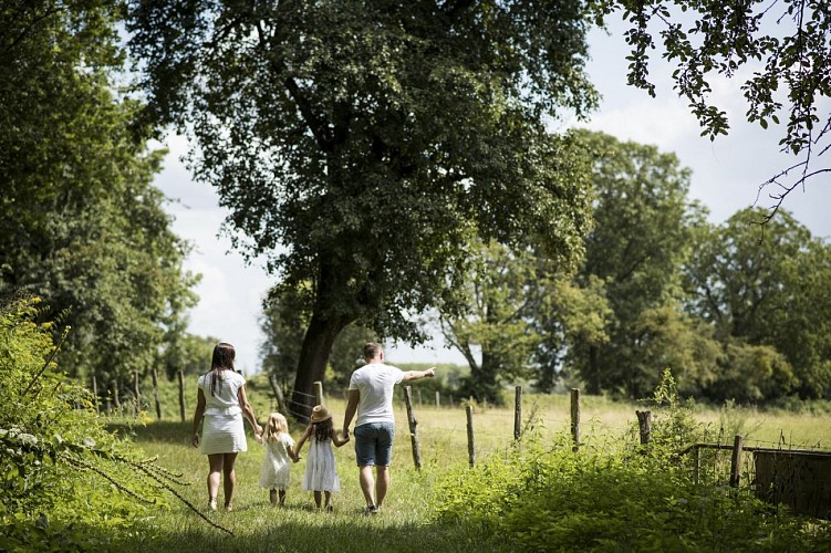 Walking tour: Between Eberbach and Sauer