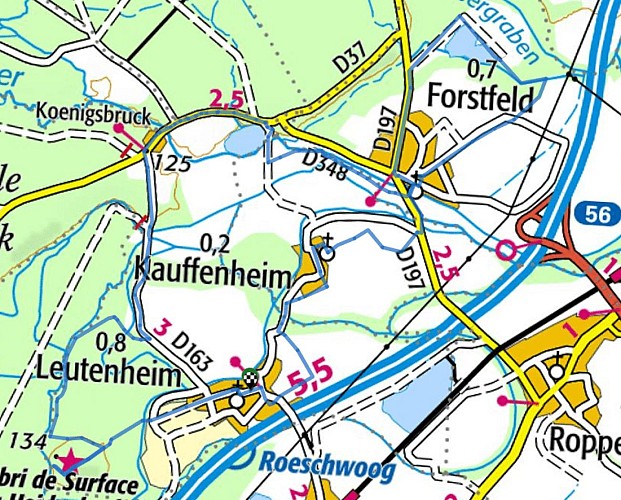 Circuit pédestre : entre Eberbach et Sauer