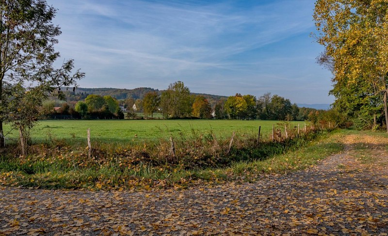 Nordic Walking trail - Wangenberg