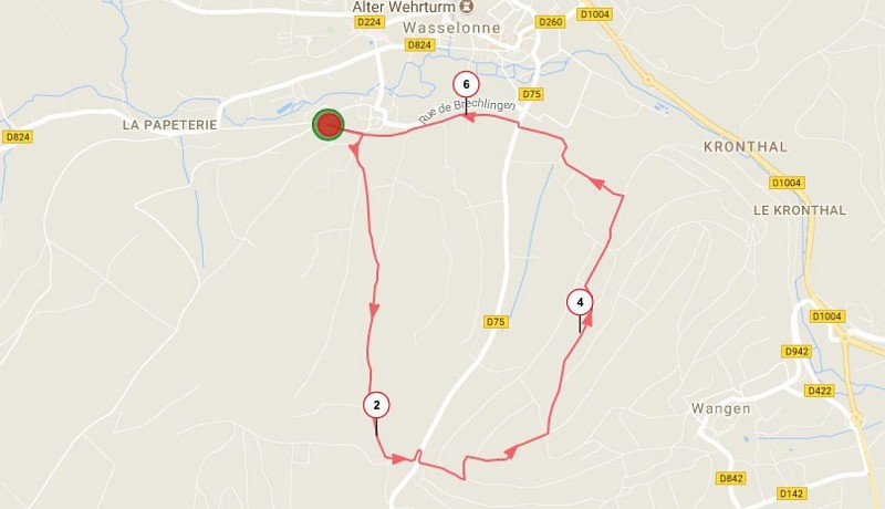 Nordic Walking trail - Wangenberg