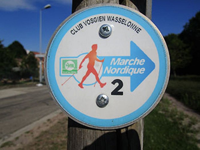 Nordic Walking trail - Wangenberg