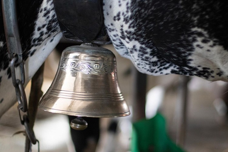 Balade ferme-auberge Buchwald : écouter les cloches tinter…