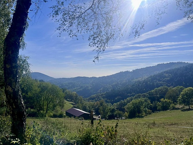 Balade ferme-auberge Buissonnets : sur les traces du plus beau volcan