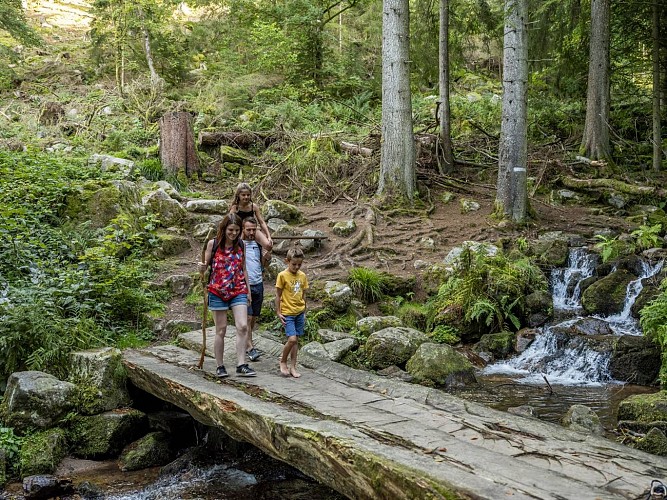 Hiking trail C10: La Serva waterfall