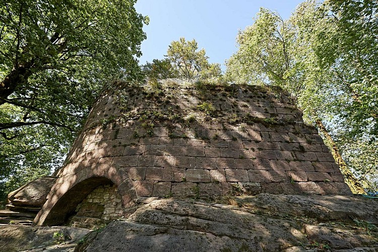 Rundwanderung C07 : Burgruine Salm & Felsen "la Chatte pendue"