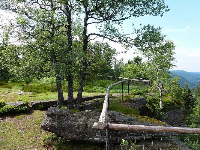 Rundwanderung C07 : Burgruine Salm & Felsen "la Chatte pendue"