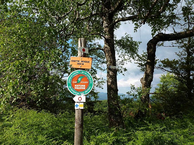 Hiking trail C07: Salm and La Chatte Pendue
