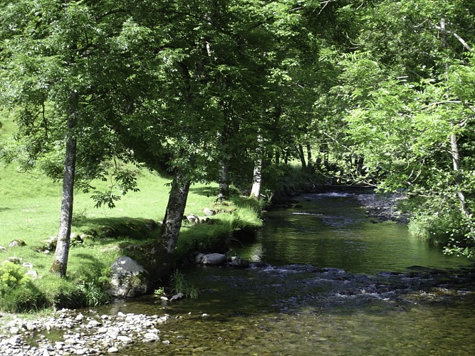 Ruisseau pédagogique: A l'école de l'eau