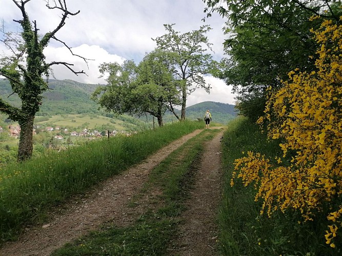 Hiking - Three villages loop