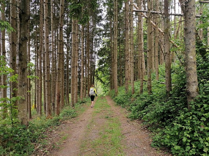 Hiking - Three villages loop