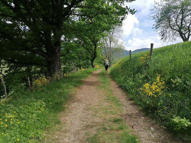Randonnée - Boucle des trois villages