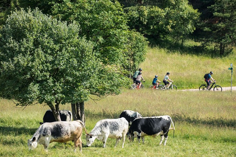 Mountain bike trail 3 - The Vallon pond
