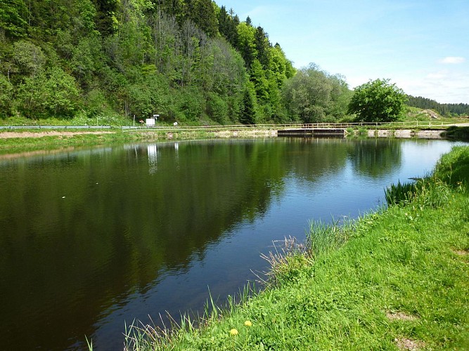 Mountain bike trail 3 - The Vallon pond