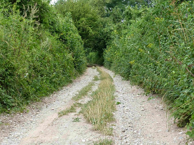 Circuit découverte VTT