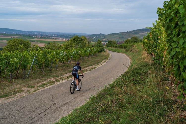 6.Le Petit Kochersberg