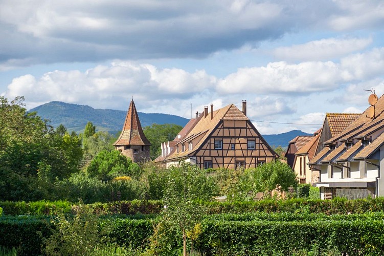 Bike tour: Exploring the lowland