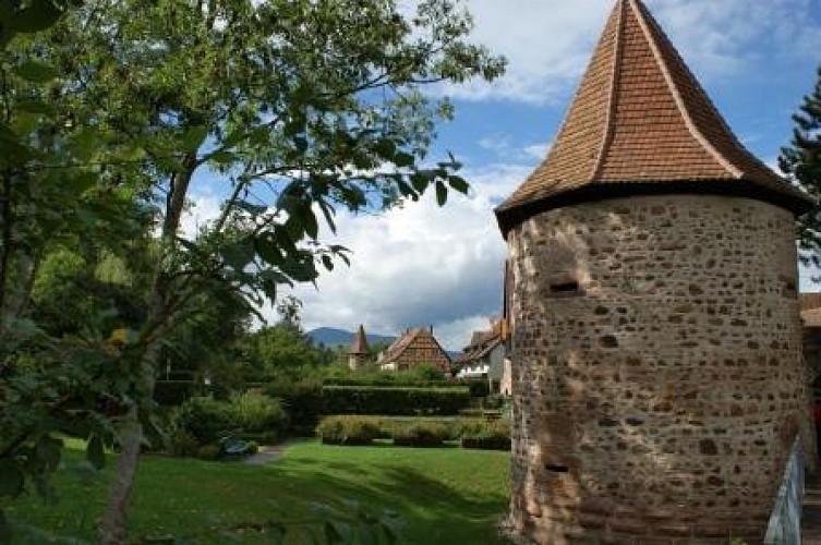 Bike tour: Exploring the lowland