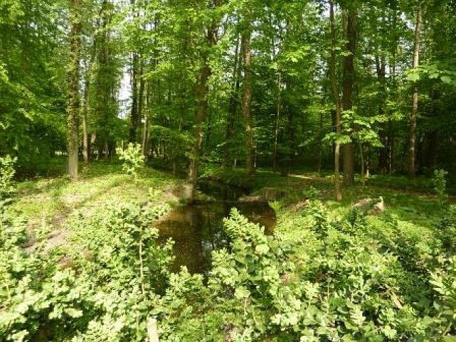 Bike tour: Exploring the lowland