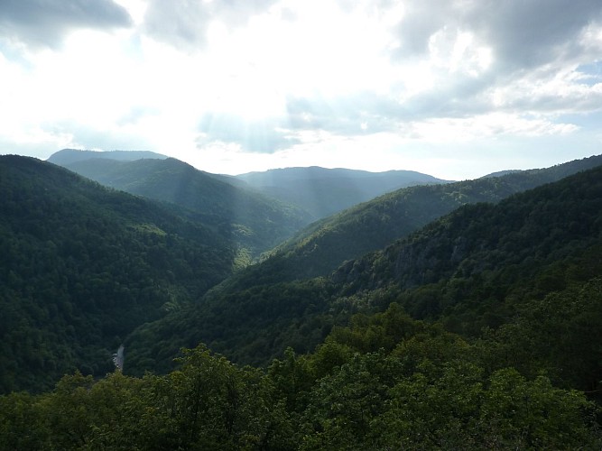 Fahrradtouren: Weinberge und Berge