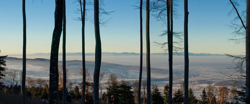 Panorama Wolschwiller vers le Jura alsacien