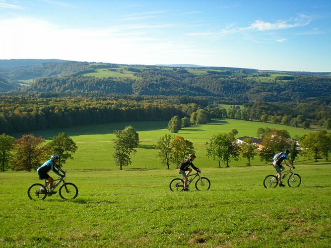 Vtt sur les hauteurs du Glaserberg à Winkel