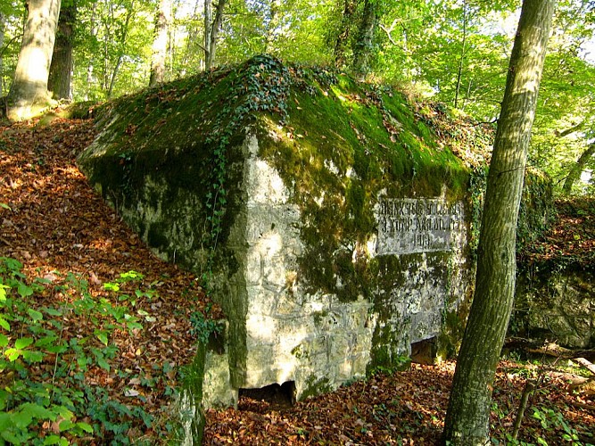 Vestige sur le chemin de mémoire de Wittersdorf