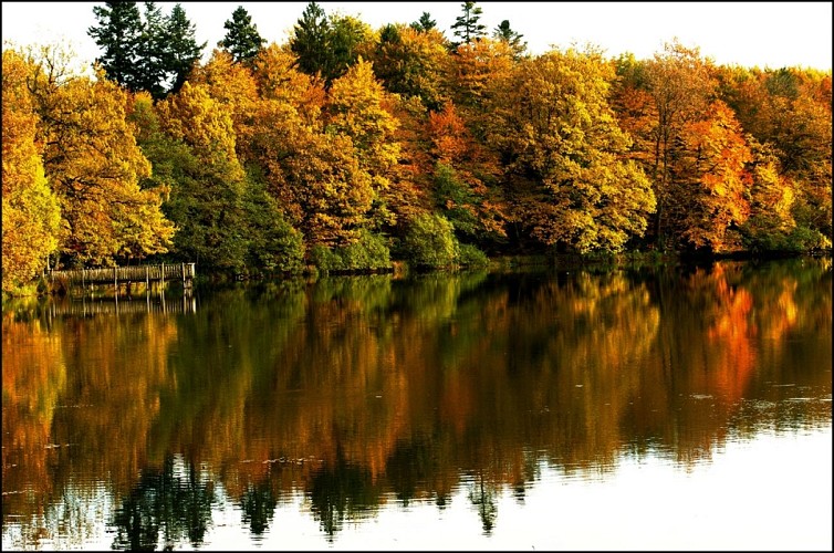 Les étangs de Bisel