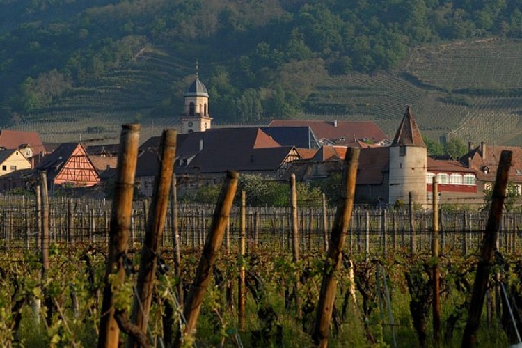 Cirduit de découverte de Saint Hippolyte