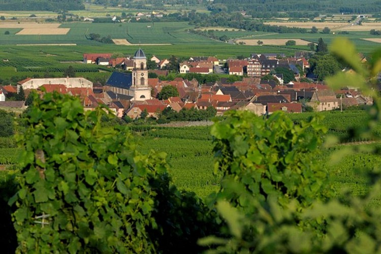 Cirduit de découverte de Saint Hippolyte