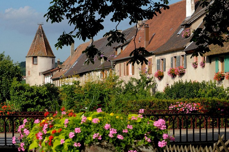 Cirduit de découverte de Saint Hippolyte