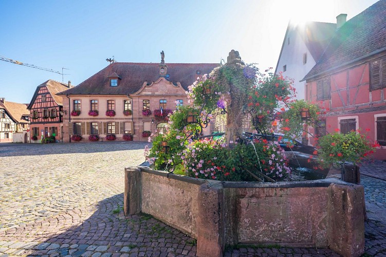 Rundgang zur Entdeckung von Bergheim