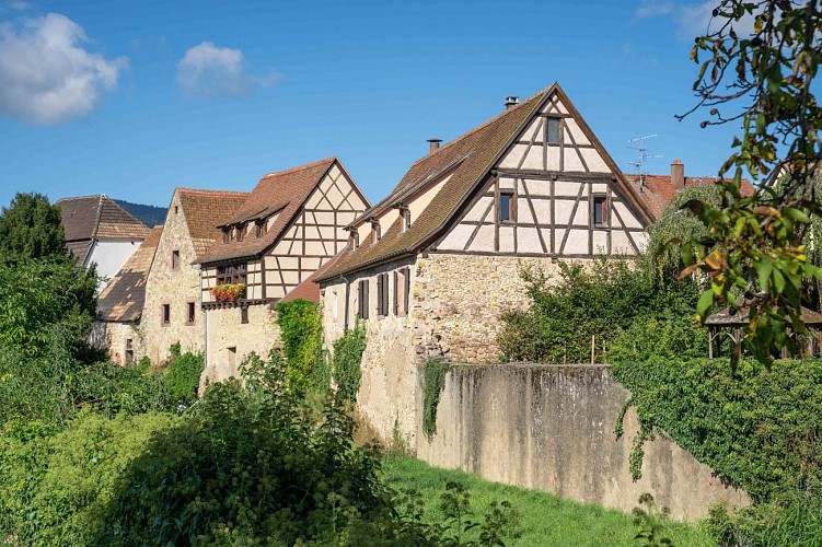 Bergheim discovery tour