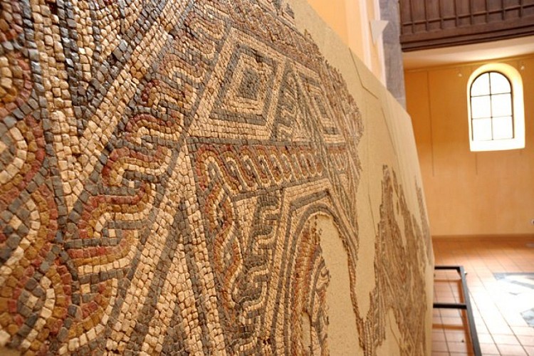 Bergheim discovery tour