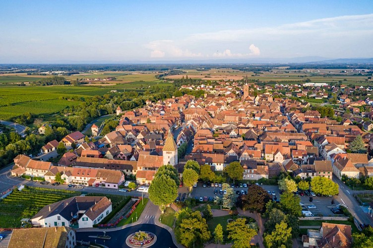Circuit de découverte de Bergheim