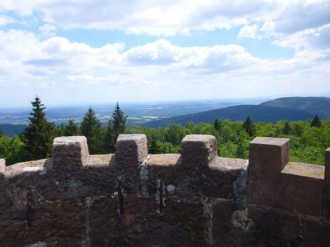 Vue depuis le sommet du Grand Wintersberg