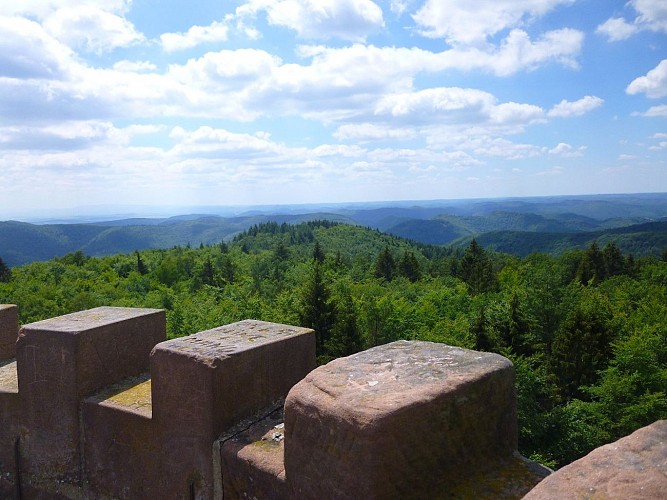 Vue sur le moutonnement des Vosges du Nord depuis le sommet du Grand Wintersberg