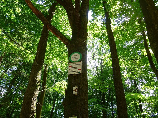 Au Col de Borneberg