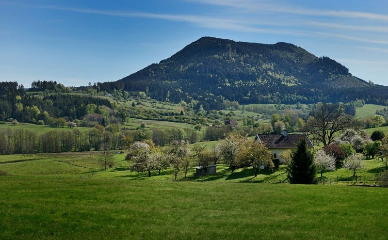 Radwandertour C24 : Die große "Promont" Schleife
