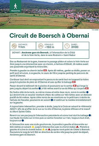 Circuit de Boersch à Obernai