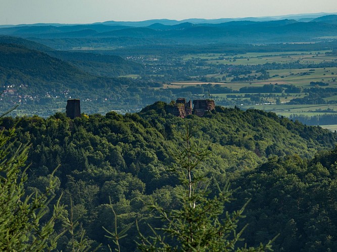 Vue depuis la tour de Brotsch