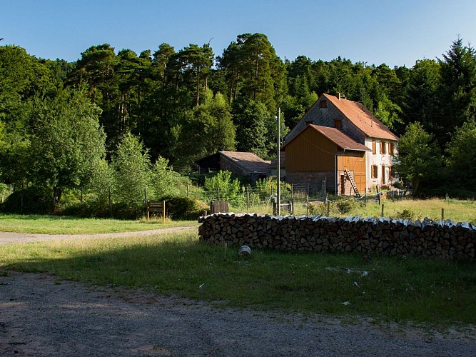 Maison forestière du Schaeferplatz
