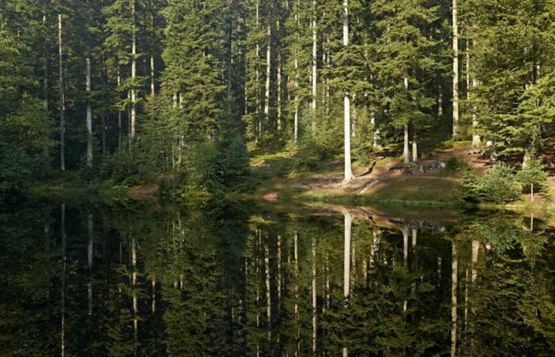 Radwandertour C18: Rund um die Weiher von Salm