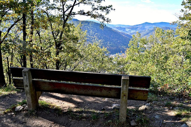 Wanderung - von Kientzheim nach Riquewihr