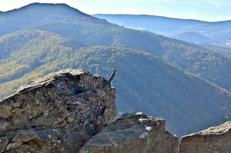 Hiking tour - from Kientzheim to Riquewihr