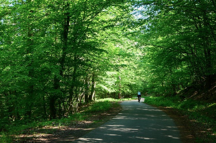 Cycle path Villé-Elzach