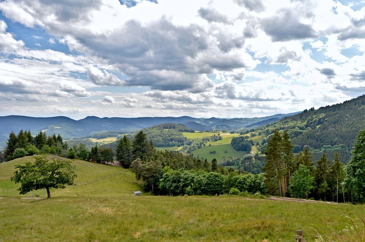 Wanderung - der Aufstieg zum Aussichtspunkt auf dem Col de Fréland