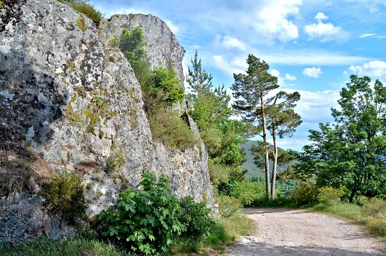 Wanderung - der Aufstieg zum Aussichtspunkt auf dem Col de Fréland