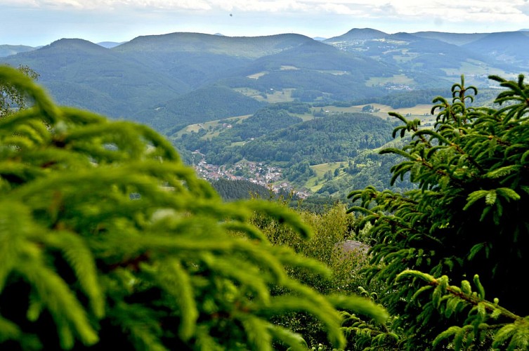 Wanderung - der Aufstieg zum Aussichtspunkt auf dem Col de Fréland