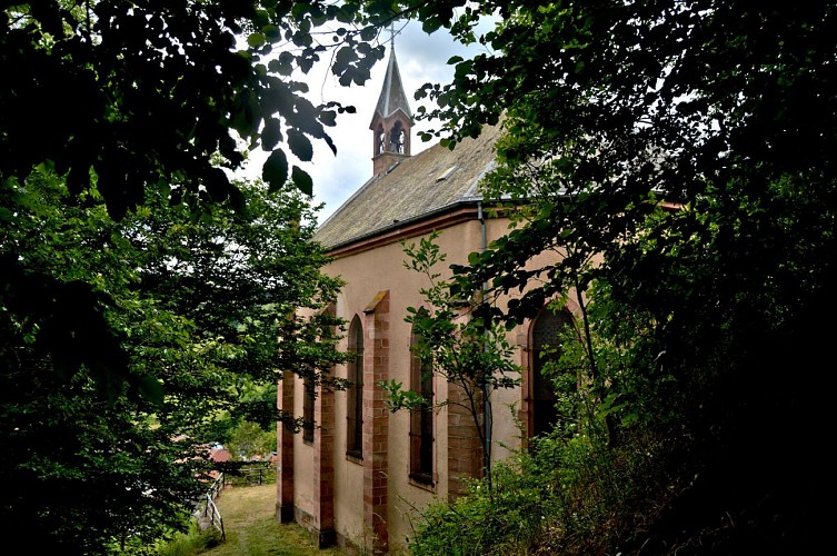 Circuit rando - l'ascension jusqu'au belvédère du col de Fréland